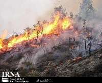 آتش در جنگل ارسباران مهار شد