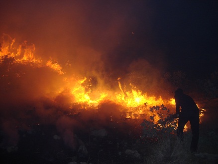 بیش از 550 هكتار جنگل و مرتع لرستان در آتش سوخت