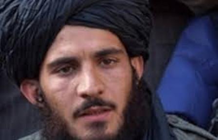 رييس مهمترين تشكيلات طالبان استعفاء داد