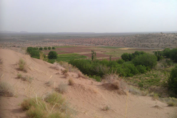 مرجع بین المللی اجرای پروژه منارید در ایران را موفق ارزیابی كرد