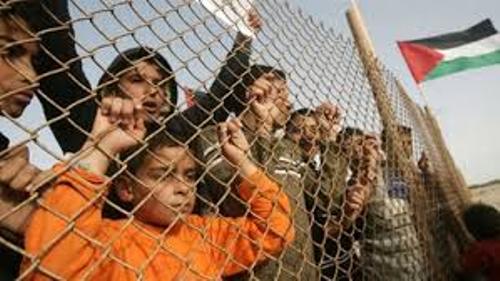 35 سازمان غير دولتي خواستار لغو محاصر غزه شدند 35 سازمان غير دولتي خواستار لغو محاصر غزه شدند