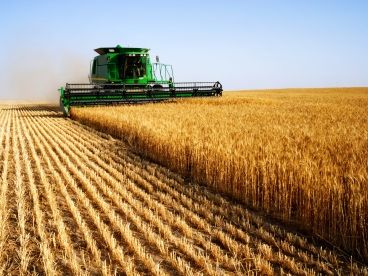 Iran launches first overseas farming plan