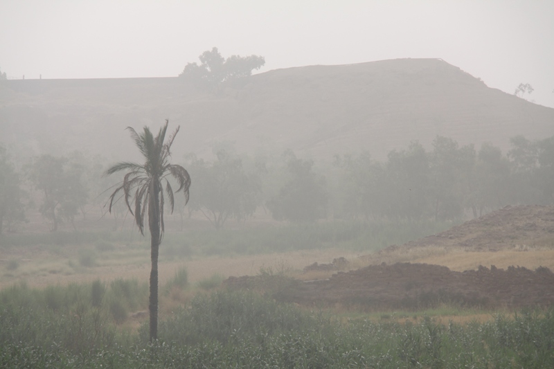 گرد و غبار دید افقی در قصرشیرین را به میزان یك هزار متر كاهش داد