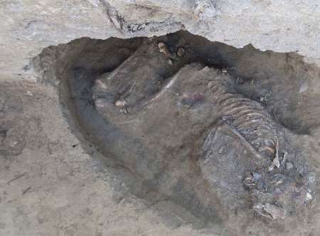 5,800-year-old Skeleton Found In South Of Iran - IRNA English