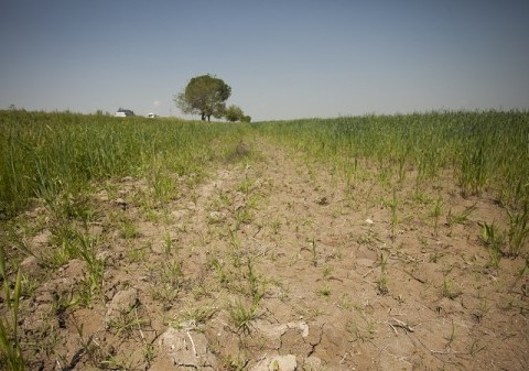 ترميم زمين هاي تخريب شده براي مقابله با تغييرات آب و هوايي/دو ميليارد هكتار زمين در حال تخريب