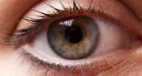 پیوند سلول های بنیادی به شبكیه چشم/یك قدم تا درمان انحطاط ماكولا