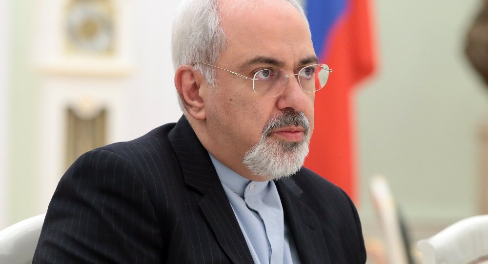 Zarif says Russia's efforts against Islamic State 'important' Zarif says Russia's efforts against Islamic State 'important'