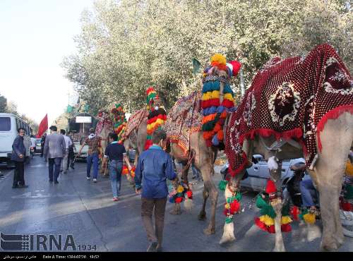 همایش سراسری چاوشی خوانی در یزد‎