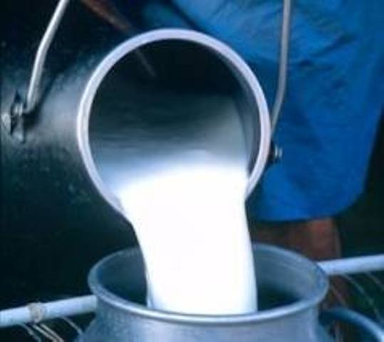 زنگ خطر كاهش تولید شیر خام به صدا درآمد زنگ خطر كاهش تولید شیر خام به صدا درآمد