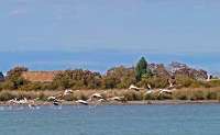 آیا خلیج گرگان به سرنوشت دریاچه ارومیه دچارمی شود