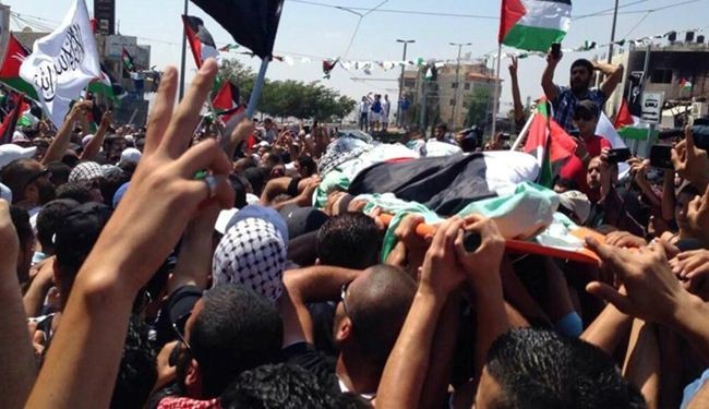 74 شهيدًا فلسطينيًا منذ انطلاق «انتفاضة القدس» 74 شهيدًا فلسطينيًا منذ انطلاق «انتفاضة القدس»
