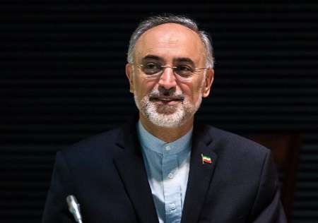 صالحی یعلن عن اكمال التوقیعات علی وثیقة أعادة تصمیم مفاعل اراك صالحی یعلن عن اكمال التوقیعات علی وثیقة أعادة تصمیم مفاعل اراك