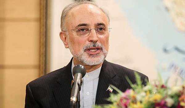 صالحي يستقبل ممثل حماس في طهران صالحي يستقبل ممثل حماس في طهران