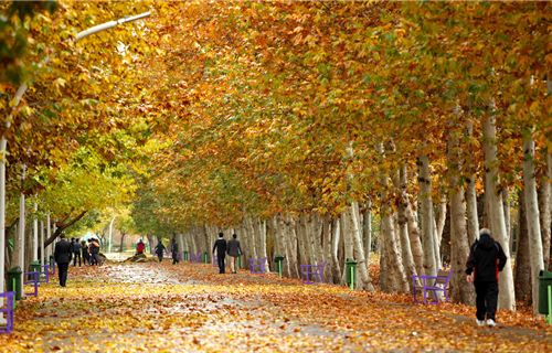 پاییز هزار رنگ مشهد - ایرنا