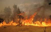 80 درصد آتش سوزی جنگل نور در مازندران مهار شد