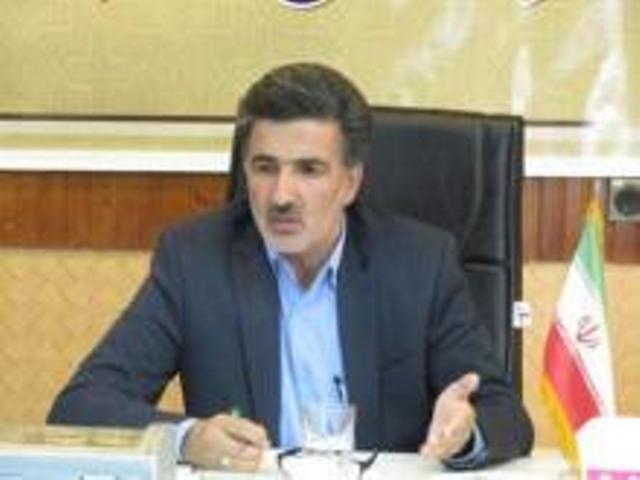 فرماندار: گردو بايد نماد تويسركان بماند فرماندار: گردو بايد نماد تويسركان بماند
