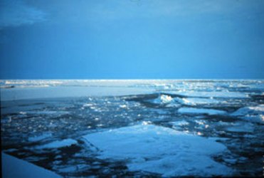 افزایش بی سابقه دمای هوای قطب شمال در طول 115 سال گذشته