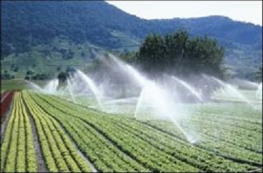 كم آبی با روش های نوین آبیاری در كشور مدیریت می شود كم آبی با روش های نوین آبیاری در كشور مدیریت می شود