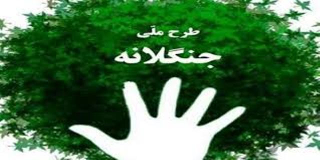 پيام ابتكار به حركت مردمي جنگلانه/افزايش تعداد سمن هاي محيط زيستي پيام ابتكار به حركت مردمي جنگلانه/افزايش تعداد سمن هاي محيط زيستي