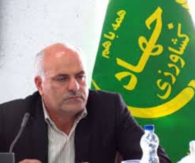 از منابع بانك كشاورزي براي توسعه گلخانه ها ي سمنان وام داده مي شود از منابع بانك كشاورزي براي توسعه گلخانه ها ي سمنان وام داده مي شود