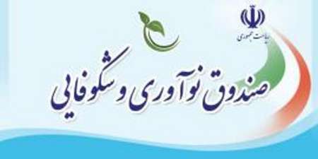 نيم درصد بودجه عمومي كشور به صندوق نوآوري پرداخت نشده است نيم درصد بودجه عمومي كشور به صندوق نوآوري پرداخت نشده است