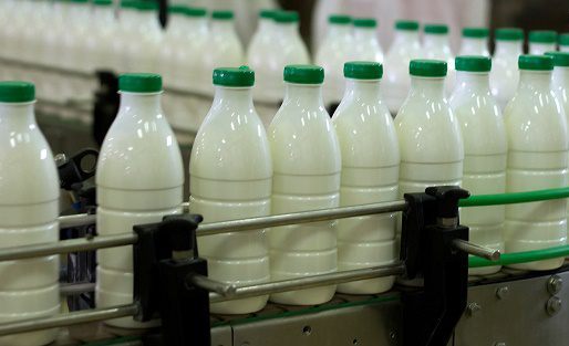 دولت در حمایت از دامداران راهكاری غیراز افزایش نرخ شیر ارائه كند