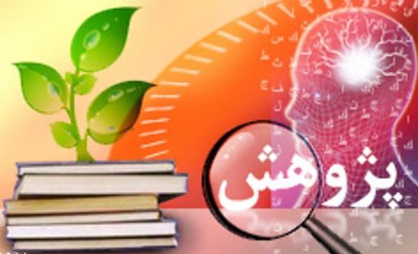 پژوهشگران برتر شهرستان پاكدشت تجليل شدند پژوهشگران برتر شهرستان پاكدشت تجليل شدند