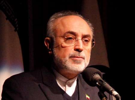 Salehi deplores execution of Shia religious leader by Saudi kingdom Salehi deplores execution of Shia religious leader by Saudi kingdom