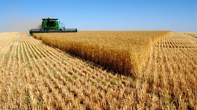 Shiraz to host global agriculture conference Shiraz to host global agriculture conference