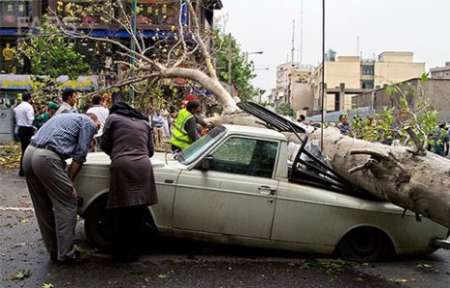 وزش باد شديد به برخي از مناطق استان خسارت وارد كرد