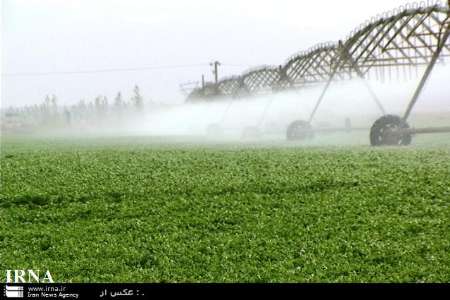 پنج هزار هكتار از مزارع ايرانشهر به سامانه آبياري تحت فشار مجهز است