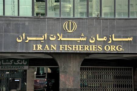 تمركز زدایی و شهرستان محوری از اولویت ها درچارت جدید شیلات ایران