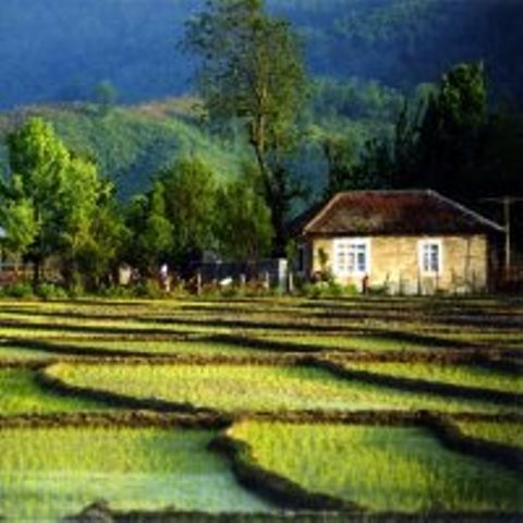 Joint tourism project in Rasht Joint tourism project in Rasht