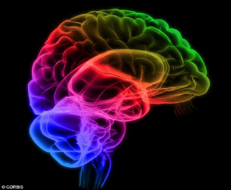 Scientists crack what causes schizophrenia Scientists crack what causes schizophrenia