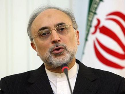 Supreme Leader personally set conditions for nuclear deal: Salehi Supreme Leader personally set conditions for nuclear deal: Salehi
