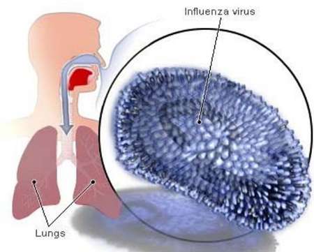 Iran ranks 2nd in well-timed influenza diagnosis Iran ranks 2nd in well-timed influenza diagnosis