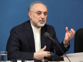 No delay in re designing Arak reactor says Salehi IRNA English