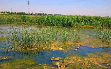 طرح احیای تالاب جازموریان درانتظار ورود به شورای عالی آب