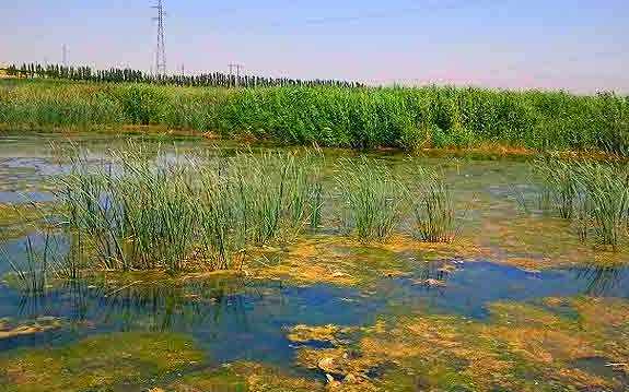 طرح احیای تالاب جازموریان درانتظار ورود به شورای عالی آب