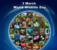 74 گونه جانوری در فهرست سرخ اتحادیه جهانی حفاظت از طبیعت
