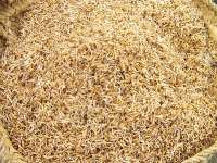 انتخاب بذرگواهي شده عملكرد توليد برنج را 15 تا 20 درصد افزايش مي دهد
