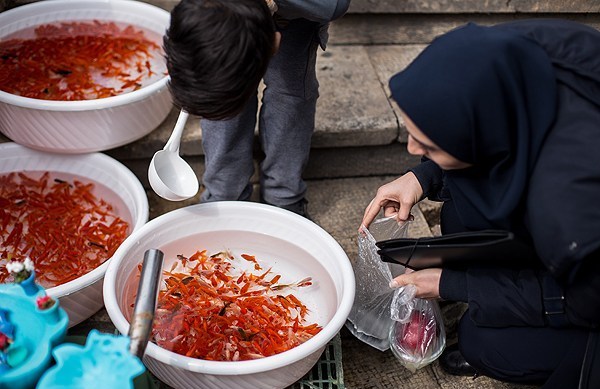 شهروندان در خريد ماهي قرمز به توصيه هاي بهداشتي توجه كنند