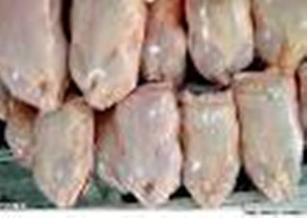 ادامه توزيع مرغ منجمد در بازار خراسان رضوي