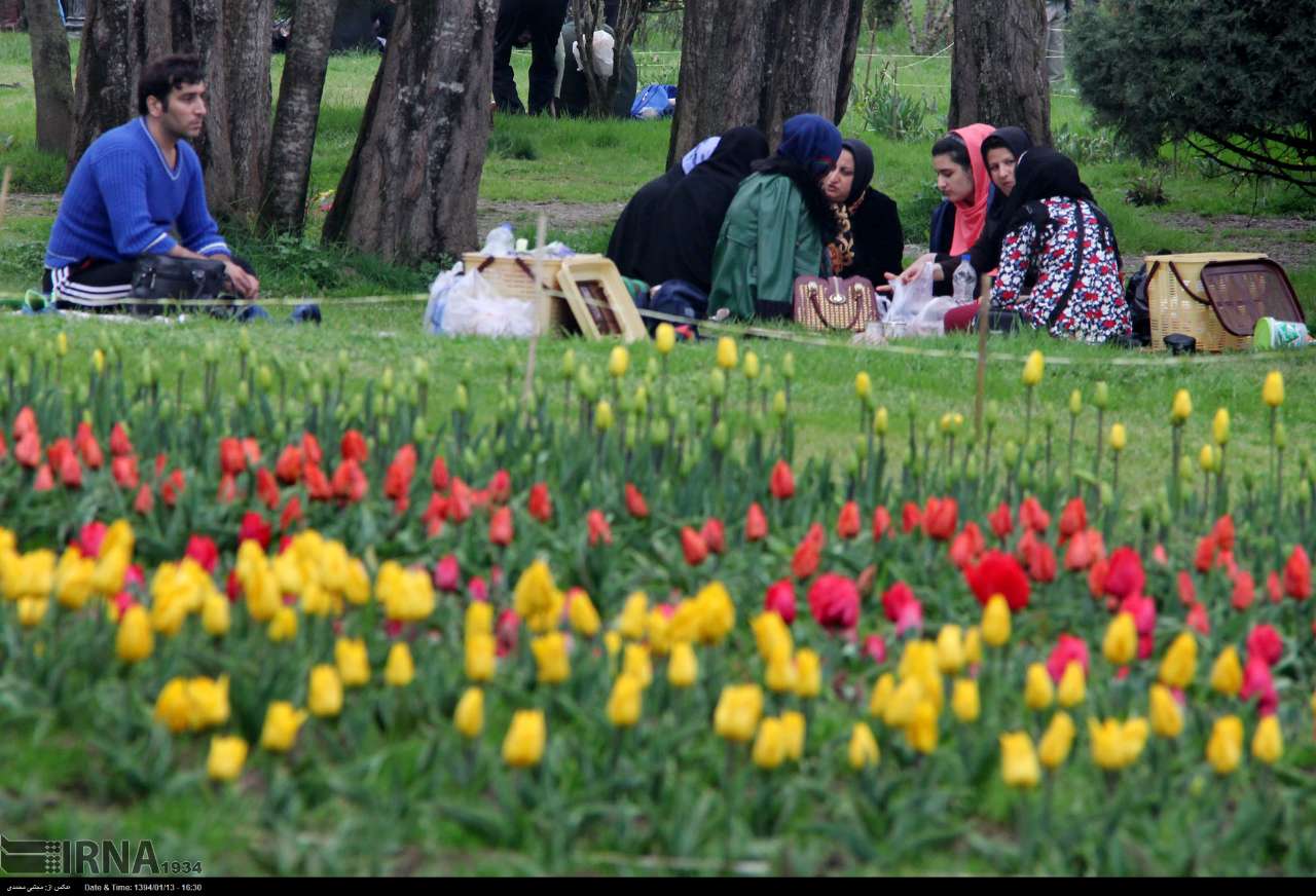 درخواست محیط زیست: با طبیعت مهربان باشید