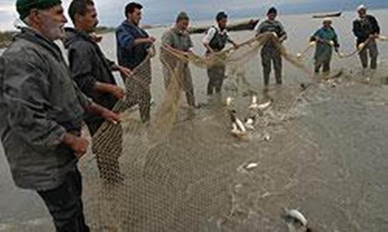 كاهش 48 درصدی صید ماهیان استخوانی در مازندران