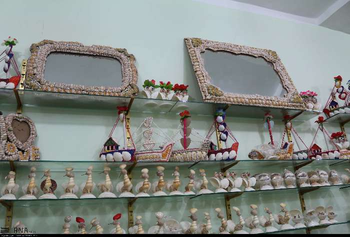  عکس صدف های چابهار