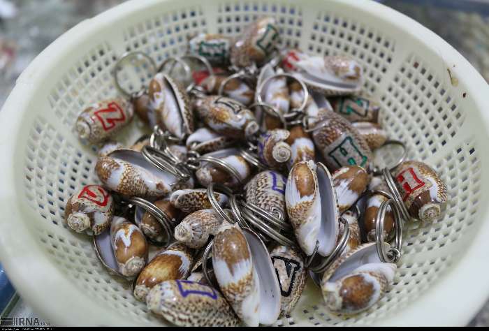  عکس صدف های چابهار