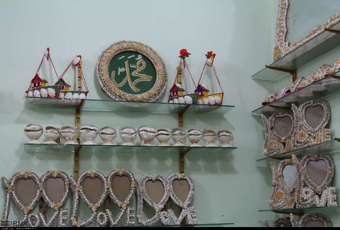  عکس صدف های چابهار