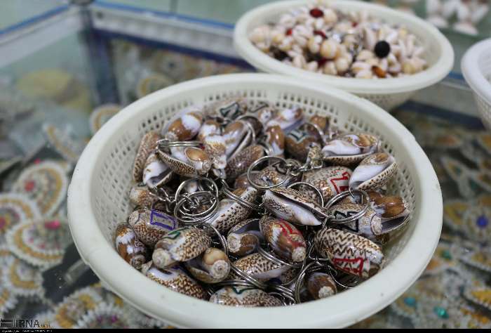  عکس صدف های چابهار