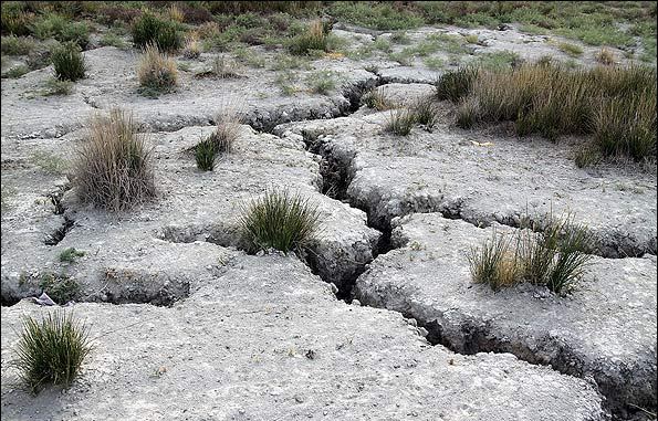 خطر در كمین دشت های چهارمحال و بختیاری